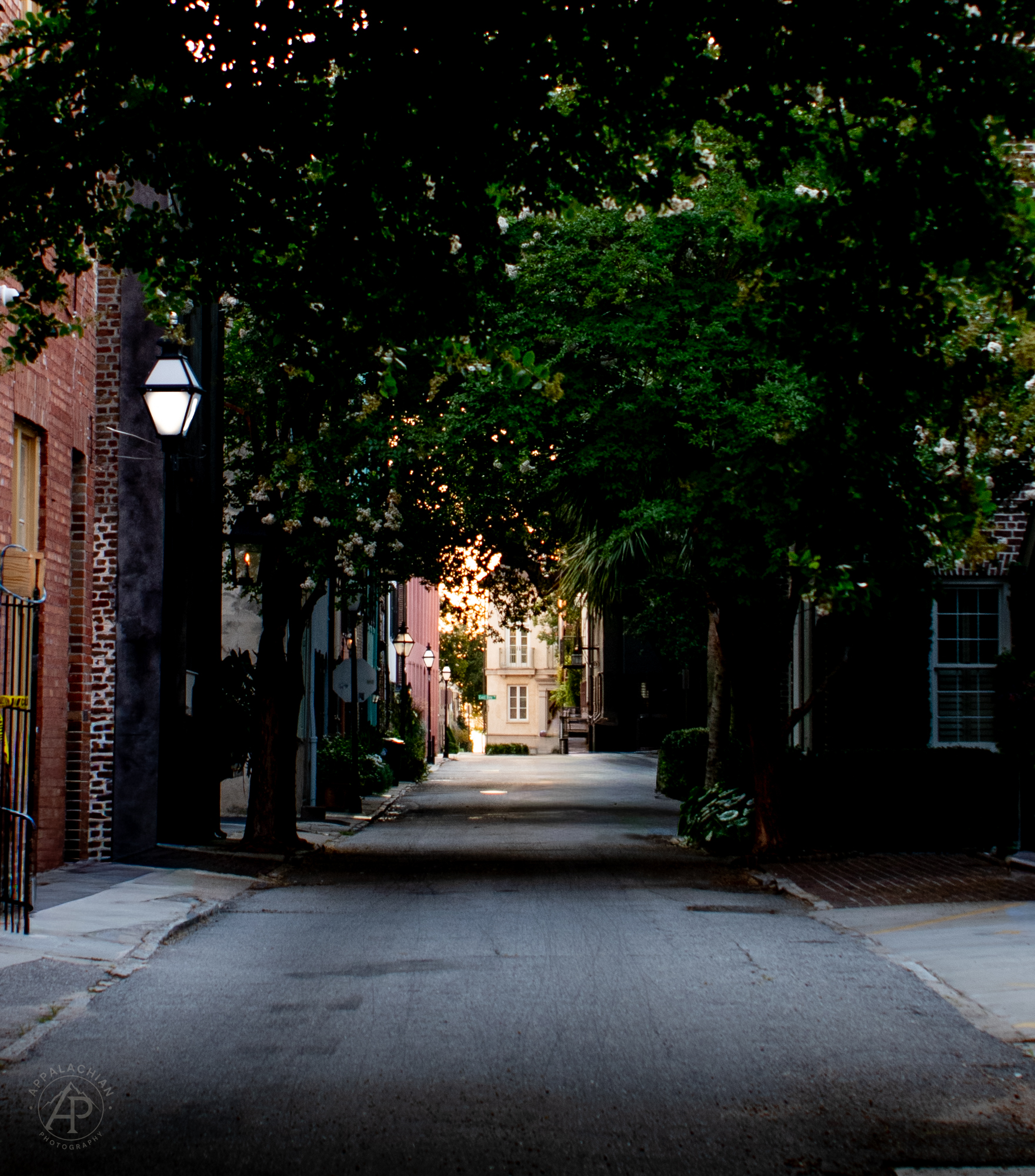 Charleston Golden Hour Street