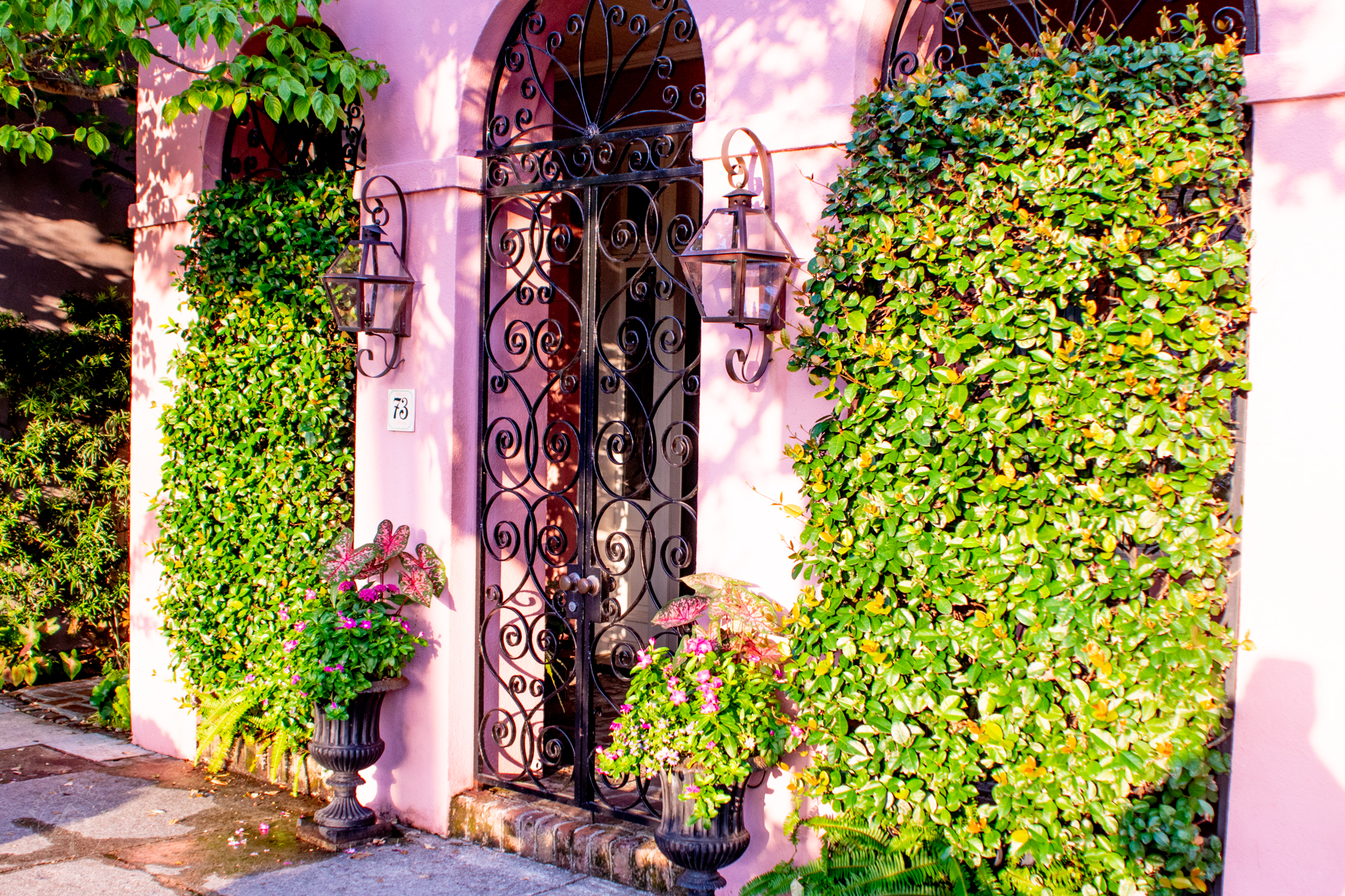 Pink House Iron Gate Charleston