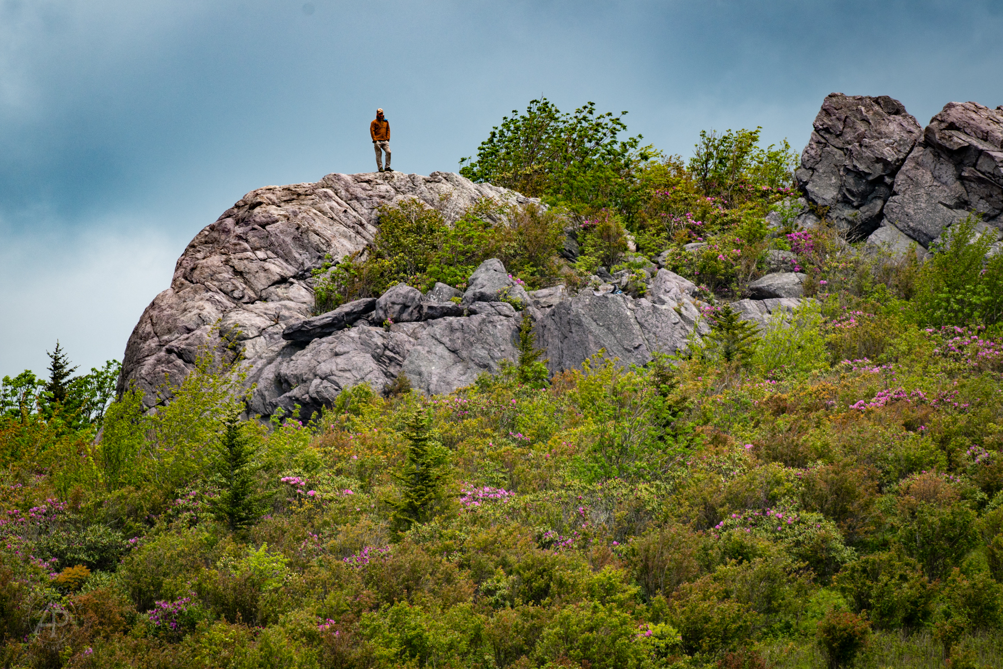 Hiker on Rock Summit Grayson Highlands