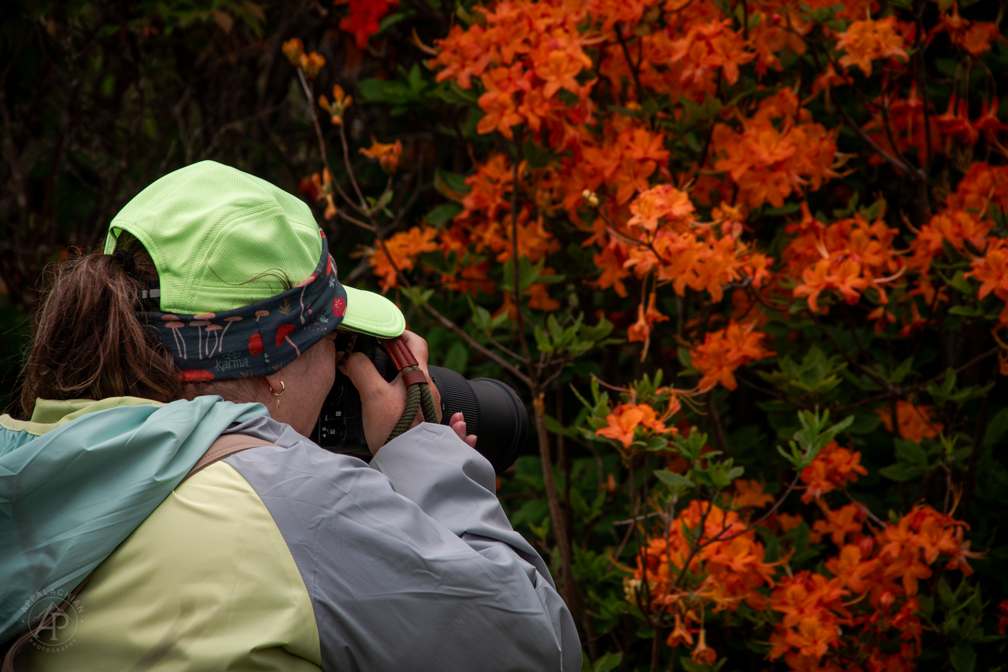 Appalachian Photography — In the field at Grayson Highlands