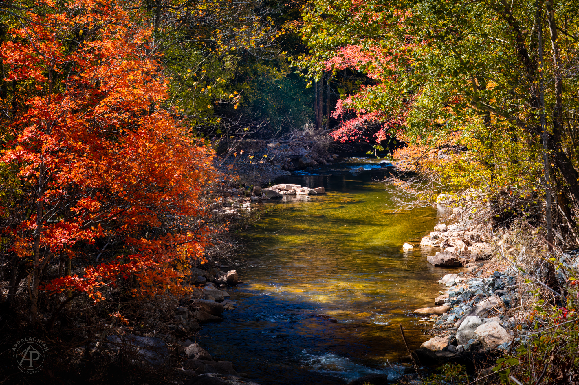Autumn Stream